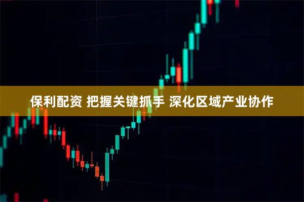 保利配资 把握关键抓手 深化区域产业协作