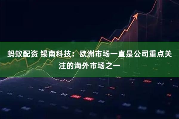 蚂蚁配资 锡南科技：欧洲市场一直是公司重点关注的海外市场之一
