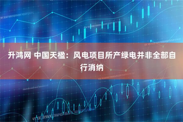 升鸿网 中国天楹：风电项目所产绿电并非全部自行消纳